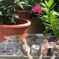 ⏳Zeitlich begrenztes Sonderangebot⏰Kompakte Solar-Vogelbrunnenpumpe – Beleben Sie Ihren Garten! 🐦️