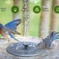 ⏳Zeitlich begrenztes Sonderangebot⏰Kompakte Solar-Vogelbrunnenpumpe – Beleben Sie Ihren Garten! 🐦️